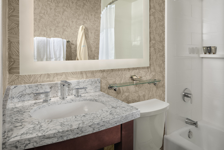 Bathroom 4, Bahia Resort, San Diego