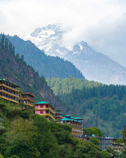 Others 5, Whoopers Hostel Tosh, Kullu