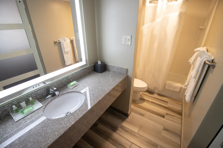 Bathroom 4, Holiday Inn SCRANTON EAST - DUNMORE by IHG, Lackawanna