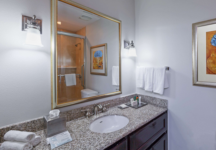 Bathroom 4, Hilton Waco, McLennan