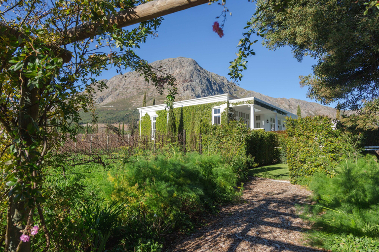 Others 5, Lily Pond House at Le Lude, Cape Winelands