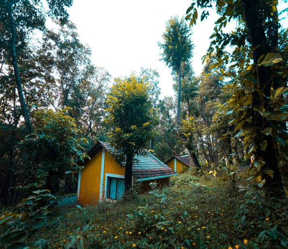 Exterior & Views 2, The Earthen Nest, South Goa