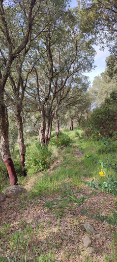Others 5, Il nuraghe, Medio Campidano