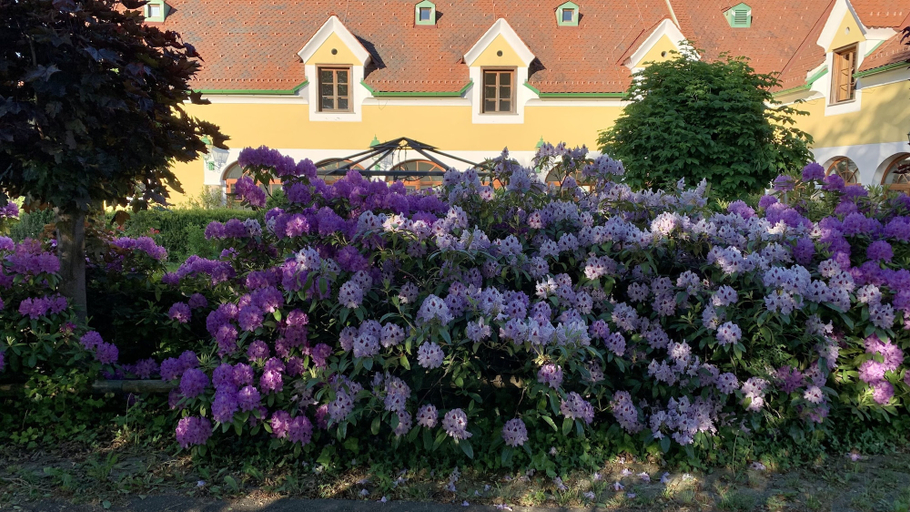 Exterior & Views 2, Das Römerstein - die pure WohlFühlOase, Jennersdorf