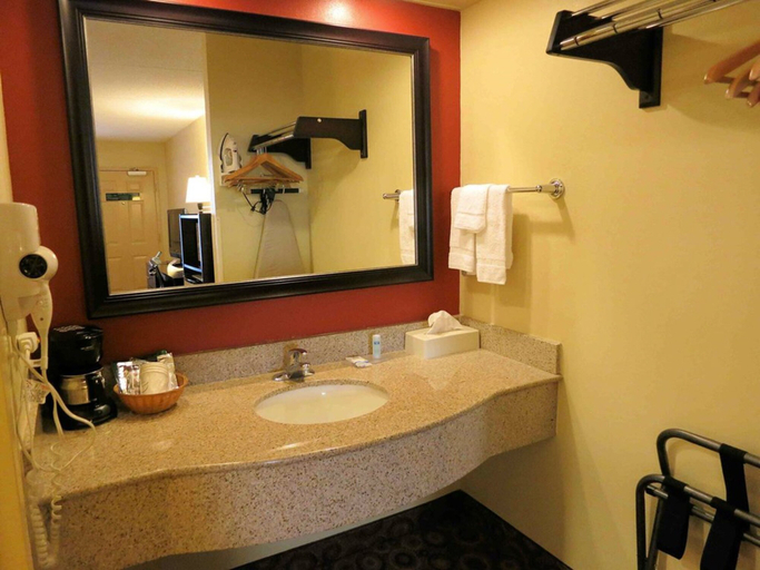 Bathroom 4, Rodeway Inn & Suites North, Montgomery