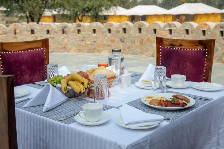 Food & Drinks 4, Kutani Bagh Sariska, Alwar