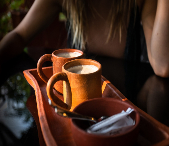 Food & Drinks 5, The Earthen Nest, South Goa