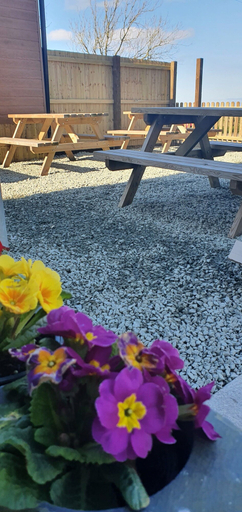 Others 5, Campsite - The Ring Pub Glamping Pods, Anglesey