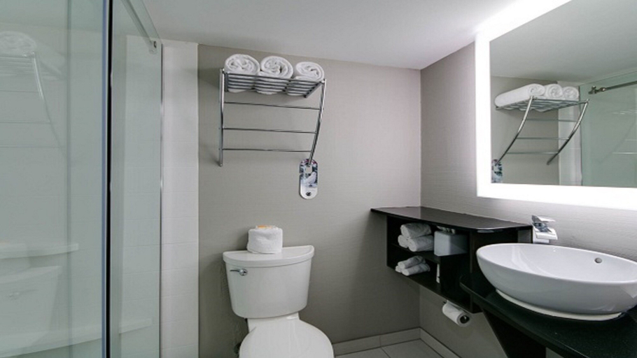Bathroom 3, Holiday Inn MANHATTAN AT THE CAMPUS by IHG, Riley