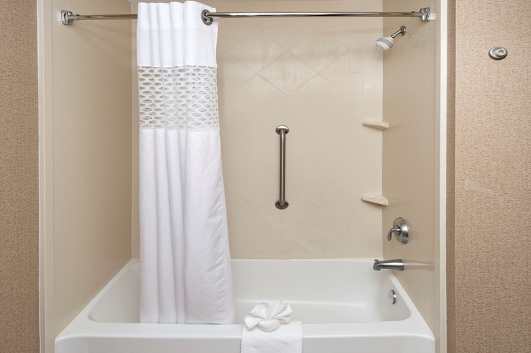 Bathroom 5, Hampton Inn Statesville, Iredell