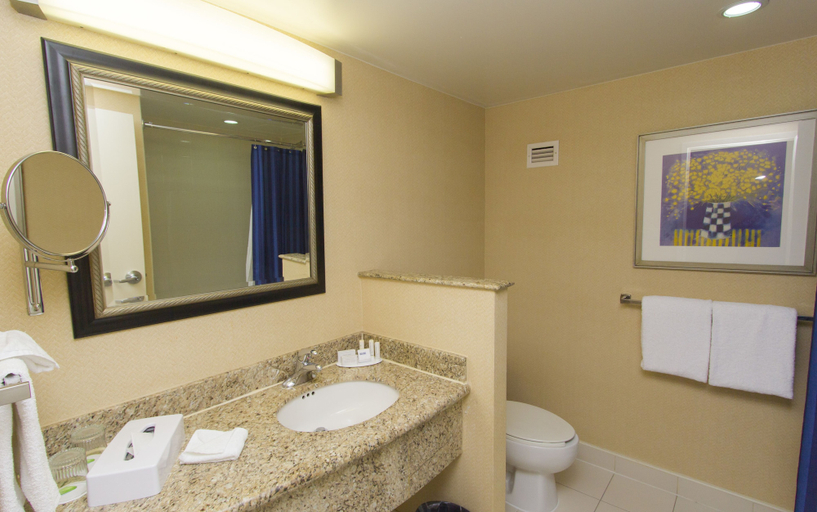 Bathroom 5, Courtyard Monterrey San Jeronimo/Valle, Monterrey