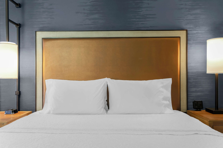 Bedroom 4, Hampton Inn & Suites by Hilton Austin Downtown, Travis