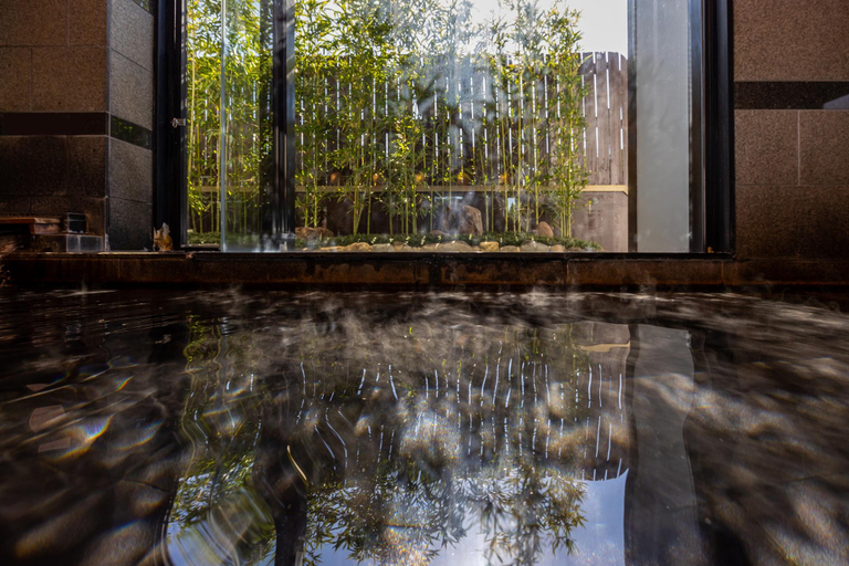 Sport & Beauty 5, Haginoyado Tomoe Ryokan, Hagi