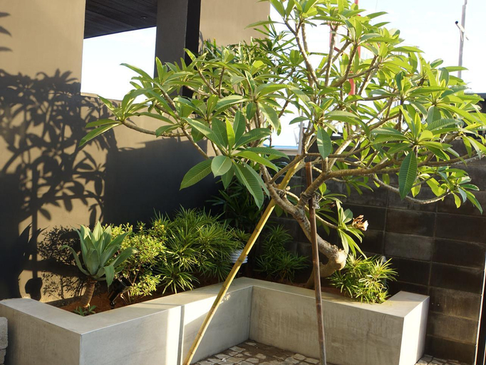 Others 5, South Island 206 Hostel, Pingtung