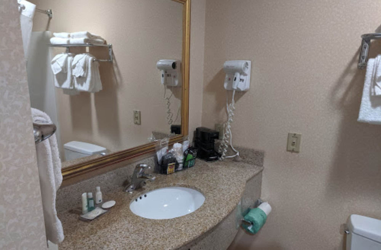 Bathroom, Point Hotel Queensbury, Warren