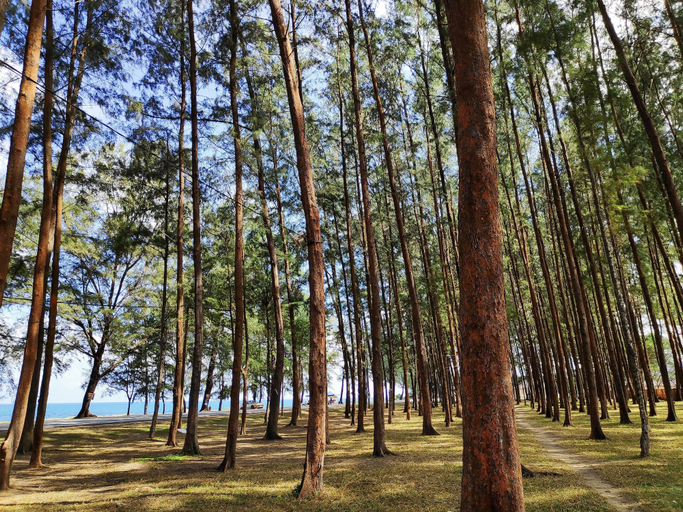 Others 4, Semarak Beach Inn, Dungun