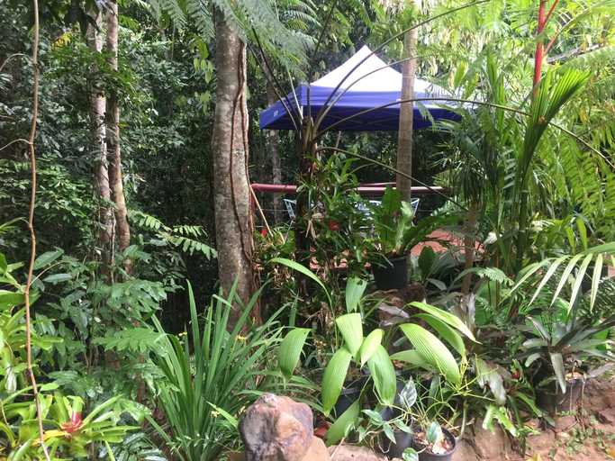 Others 5, Tropical Bliss BNB, Johnstone