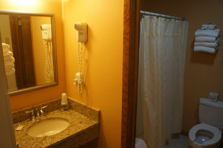 Bathroom 3, Greenbrier Inn, Rutland
