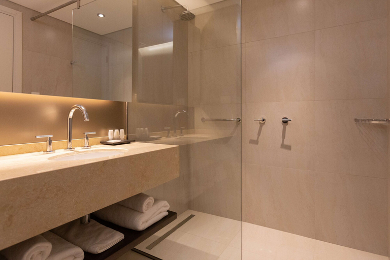 Bathroom 4, Hilton Garden Inn Neuquen, Confluencia