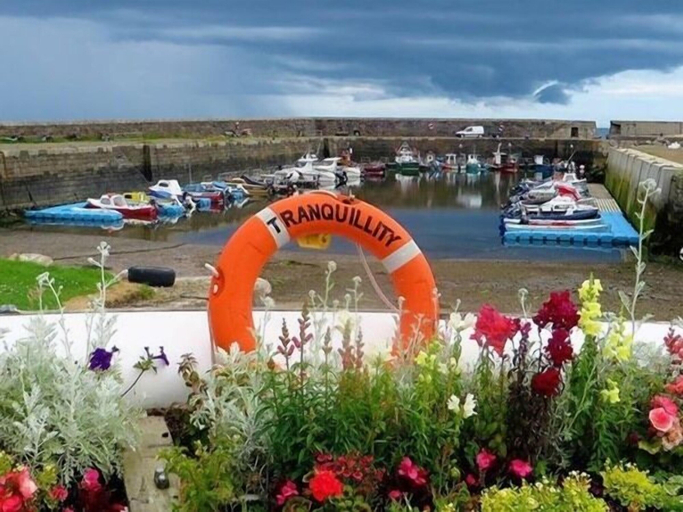 Sport & Beauty, Pew With a View - Seafront Cottages, Aberdeenshire