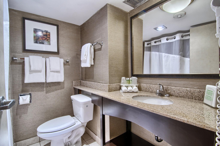 Bathroom 5, Holiday Inn Express DETROIT-BIRMINGHAM by IHG, Oakland