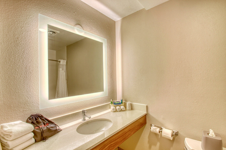Bathroom 4, Holiday Inn Express Hotel & Suites Oshkosh by IHG, Winnebago