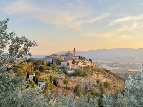 la casa di Arianna, Perugia