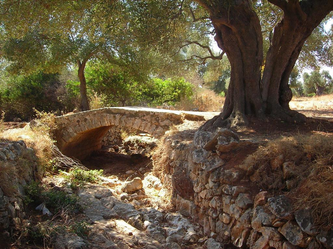 Others 5, Trullo Dellorto Ostuni, Brindisi