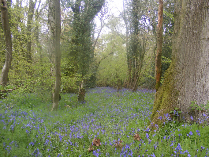 Others 3, Marshwood Farm B&B, Wiltshire