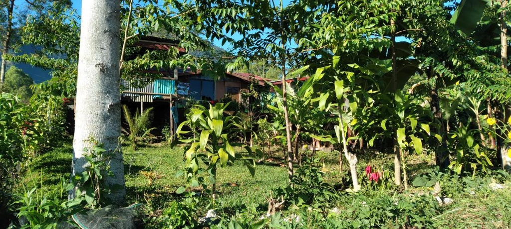 Others 2, Karleta Homestay, Manggarai