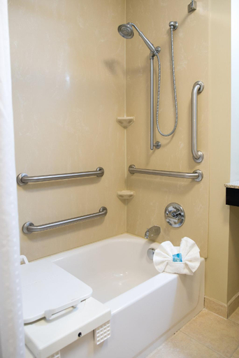 Bathroom 3, Holiday Inn Express - Albert Lea By IHG, Freeborn