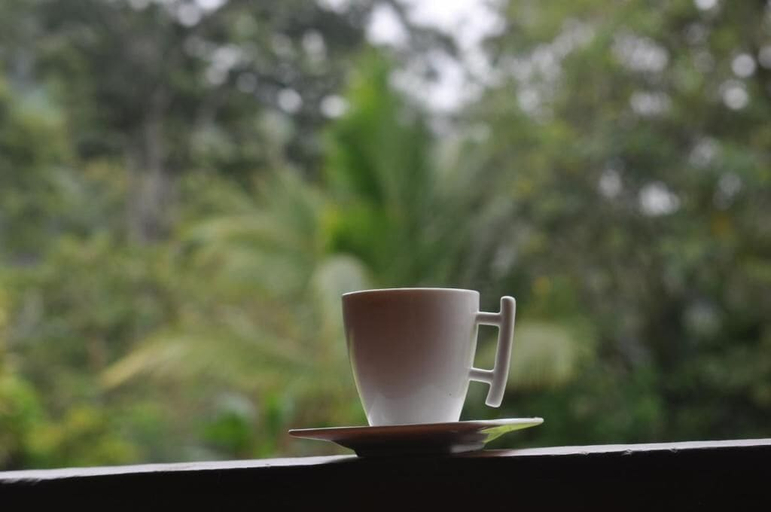 Food & Drinks 5, Hospedaje Amanecer, Turrialba