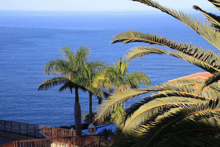 Others 5, Vistamar, Santa Cruz de Tenerife