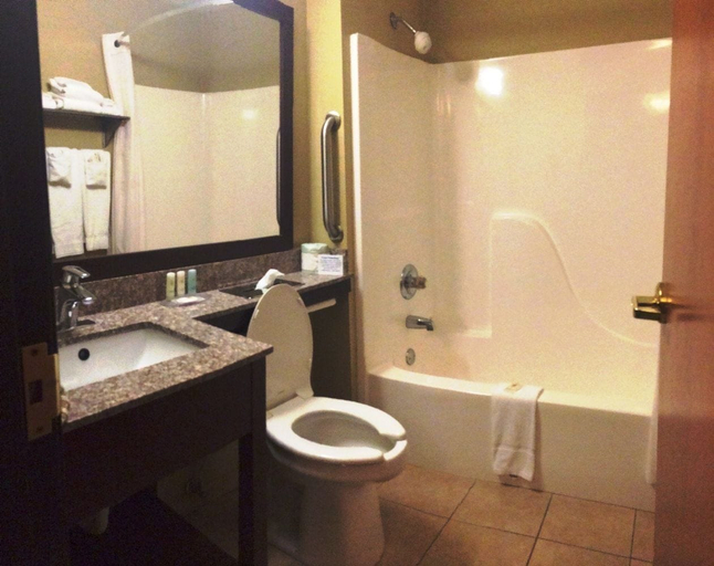 Bathroom 5, Comfort Inn New River, Fayette