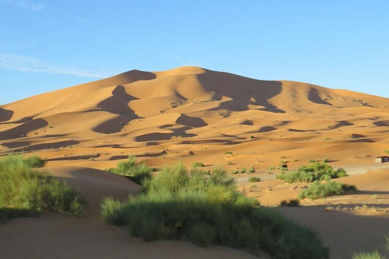 Others 4, Desert Queen Camp, Errachidia