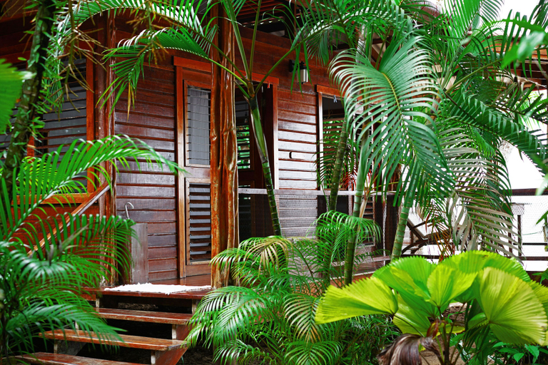 Exterior & Views 2, Casa Cayuco Eco-Adventure Lodge, Bocas del Toro