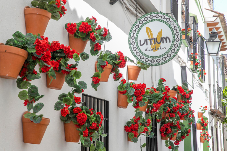 Public Area 2, Vitium Córdoba, Córdoba