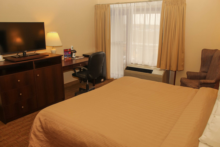 Bedroom 4, Quality Inn Buffalo Airport, Erie