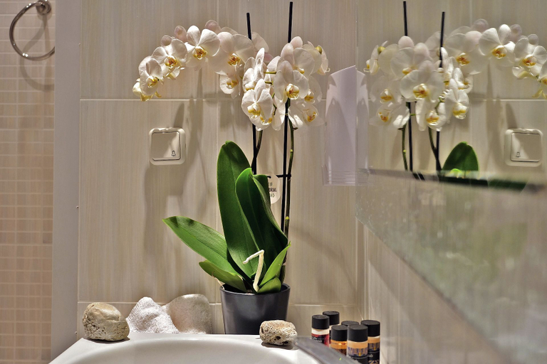 Bathroom 4, Sunset Hotel, Peloponnese