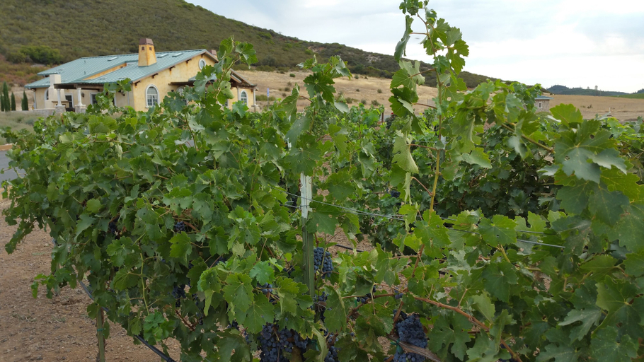 Others 5, Thorn Hill Vineyard Villas, Lake