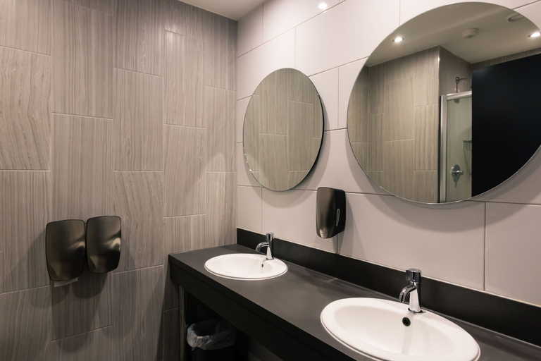 Bathroom 5, Latroupe Jacobs Inn, Dublin