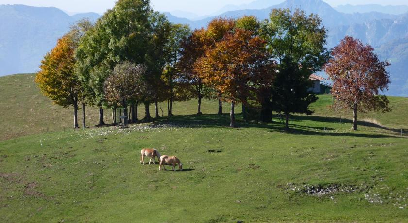 chalet in legno, Bergamo