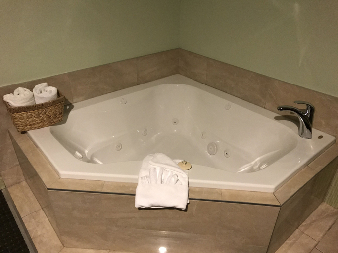 Bathroom 4, Quality Inn & Suites, Division No. 13