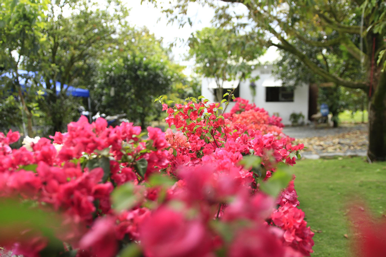 Bungalow vườn trái cây nhiệt đới Vô Ưu Garden, Bảo Lộc