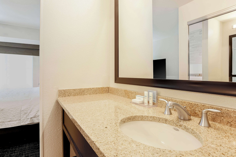Bathroom 4, Hampton Inn & Suites Denver Tech Center, Denver