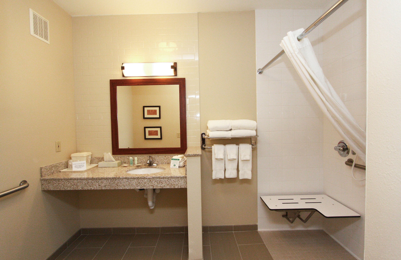 Bathroom 4, Comfort Suites Lincoln North, Lancaster