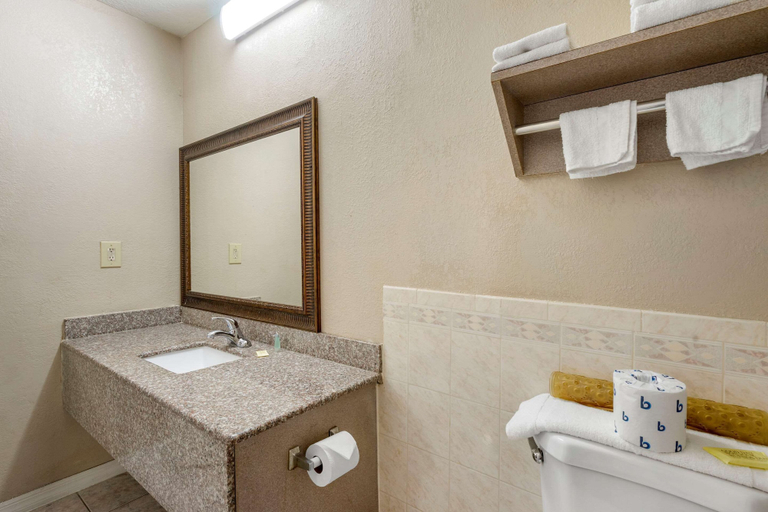 Bathroom 5, Rodeway Inn Clearwater - Largo, Pinellas