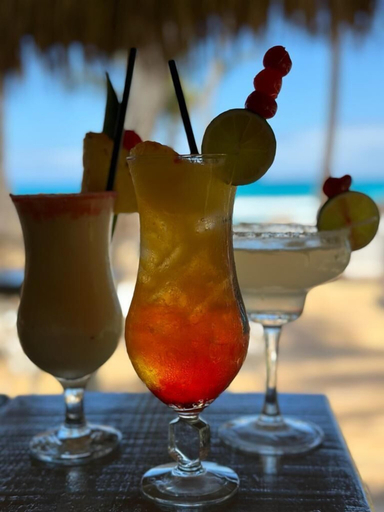 Food & Drinks 5, Hotel Casa Coson, Las Terrenas