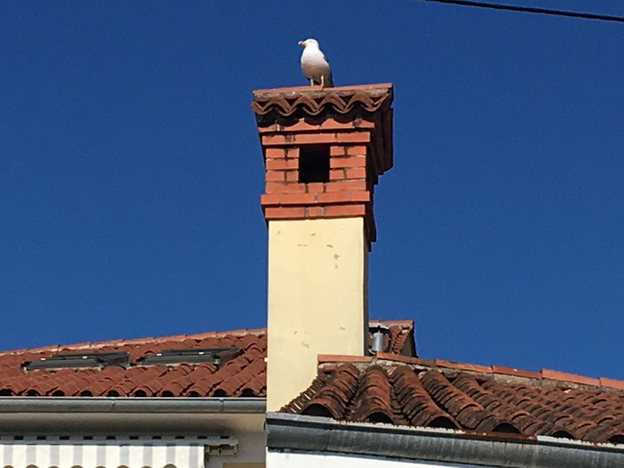Exterior & Views 2, Apartment Lighthouse &free Parking in Izola-isola, Izola