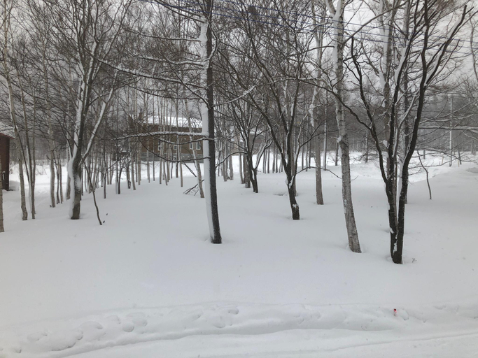 Exterior view 5, Iguru Ski Chalet, Rusutsu
